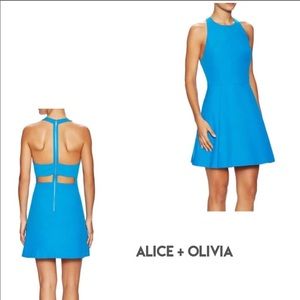 NWT Alice + Olivia Christie Fit & Flare Dress, 10